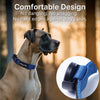 Dog Collar designed to be used with AirTag Clip-It Case