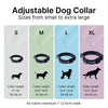 Dog Collar designed to be used with AirTag Clip-It Case