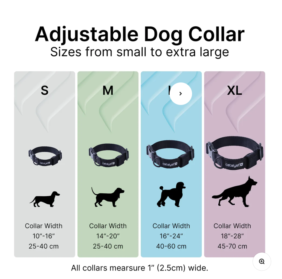 Dog Collar designed to be used with AirTag Clip-It Case-UK